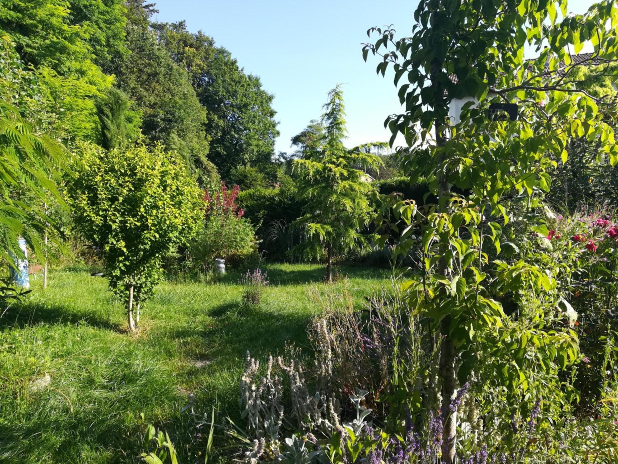 Apiculteur Loue 2 Chambres Dans Cadre Verdoyant Pagny-sur-Meuse 외부 사진